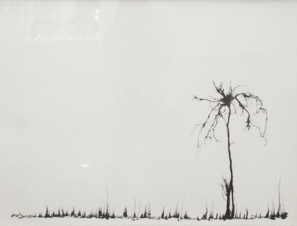 Fugues exhibition