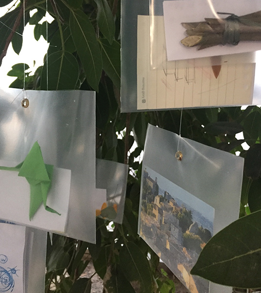 Wish Tree exhibition